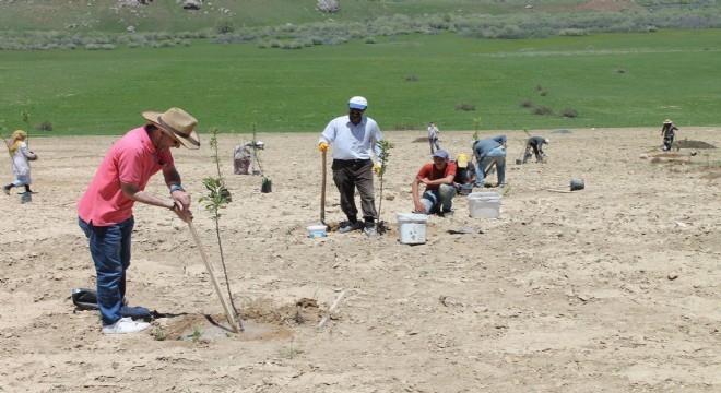 Tekman ve Karaçoban'da meyvecilik yatırımı
