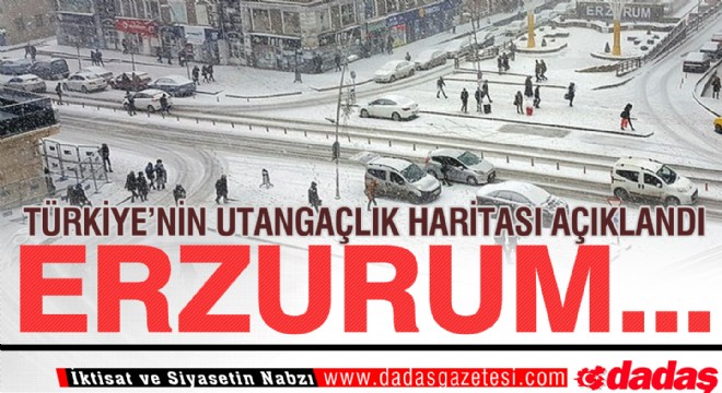 Türkiye'nin Utangaçlık Haritası açıklandı