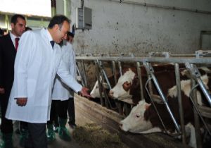 Altıparmak'tan ‘Borsa' vurgusu