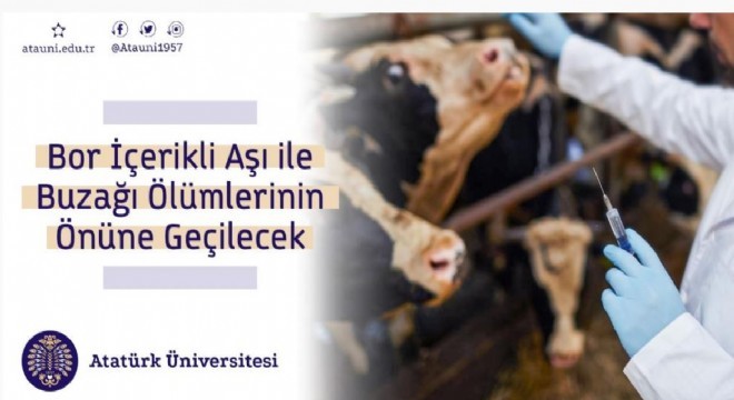 Veteriner Fakültesi Aşı Projesi TÜBİTAK'tan destek aldı