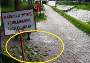 Ne üniversiteye, ne de üniversiteliye yakışmıyor..!