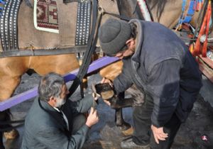 Atlar da kışlıklarını giydi