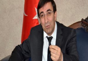 ‘DAP, Doğu'nun kalkınmasında yol haritası'