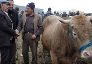 Kurban, eti için mi kesiliyor?