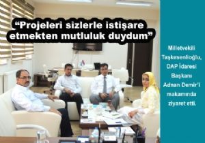 Taşkesenlioğlu, ‘DAP Eylem Planı Kalkınma Haritası'