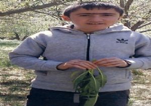 Küçük Tayyip'in hazin sonu