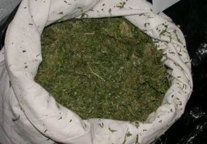 Erzurum'da 3 kg esrar ele geçirildi
