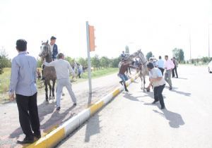 Helikopterler atlı ekibi korkuttu