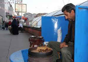 Kestaneciler çıktı, kış kapıda...