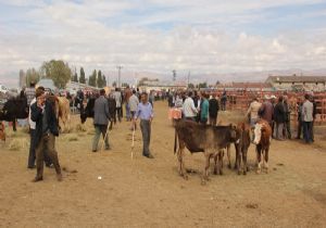 Kurban Pazarı'nda hareketlilik başladı