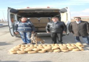Okul taşıtında 90 kilo esrar
