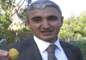 Erzurum'da altın çilek üretimi