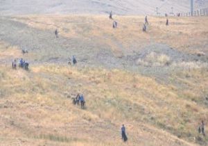 Palandöken'de Bir Kamyon Çöp Topladılar