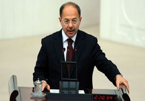 Meclisi 'dağ başı' sandı (detay)