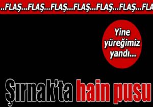 Şırnak'ta askere saldırı: 3 şehit