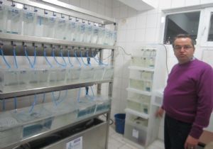 Su Ürünleri Fakültesi bir ilki başardı