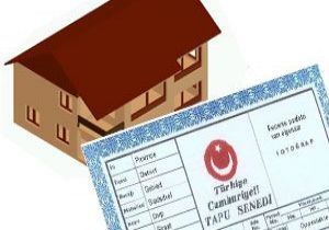 Türkiye'de tapular erkeklerde