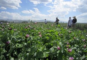 DATAE'den araştırma başarısı