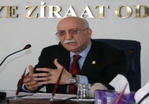 TZOB: ‘Büyükşehir belediyeleri tarıma kaynak ayırmalı'