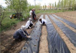 Uzunahmet'te örnek uygulama