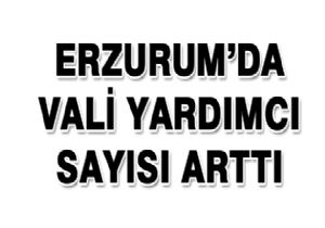 Erzurum'da Vali yardımcı sayısı arttı