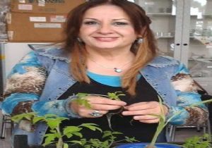 Yıldız: ‘Üretimin siyaseti olmamalı'