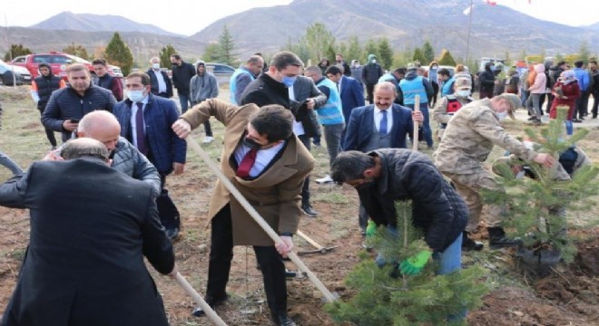 İspir'de ağaçlandırma seferberliği