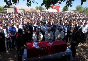 ‘Şerefsizleri bize güldürmeyin'