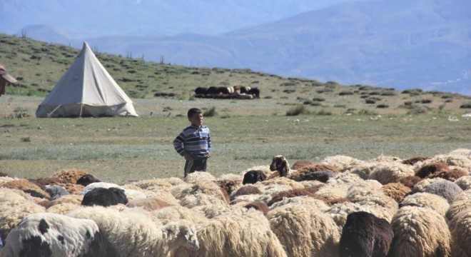 ‘Köyümde Yaşamak İçin Bir Sürü Nedenim Var'