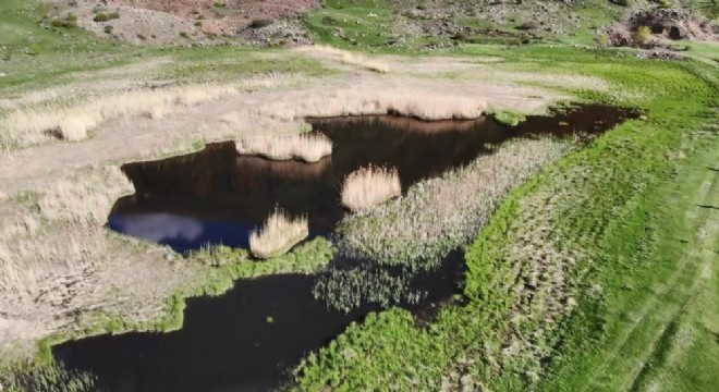 ‘Yüzen Adalar' göz kamaştırıyor